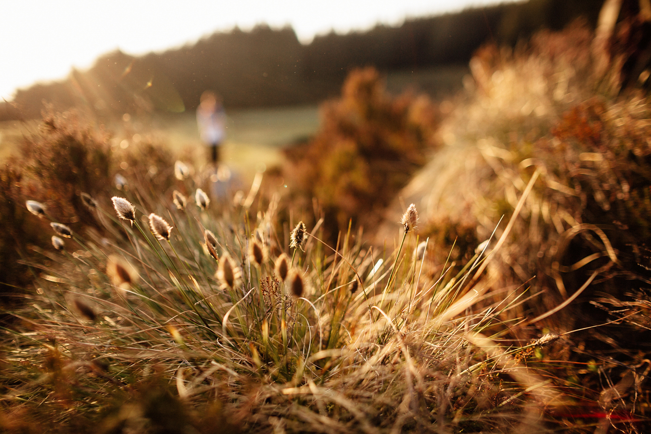 Fine Art Photographers Ireland