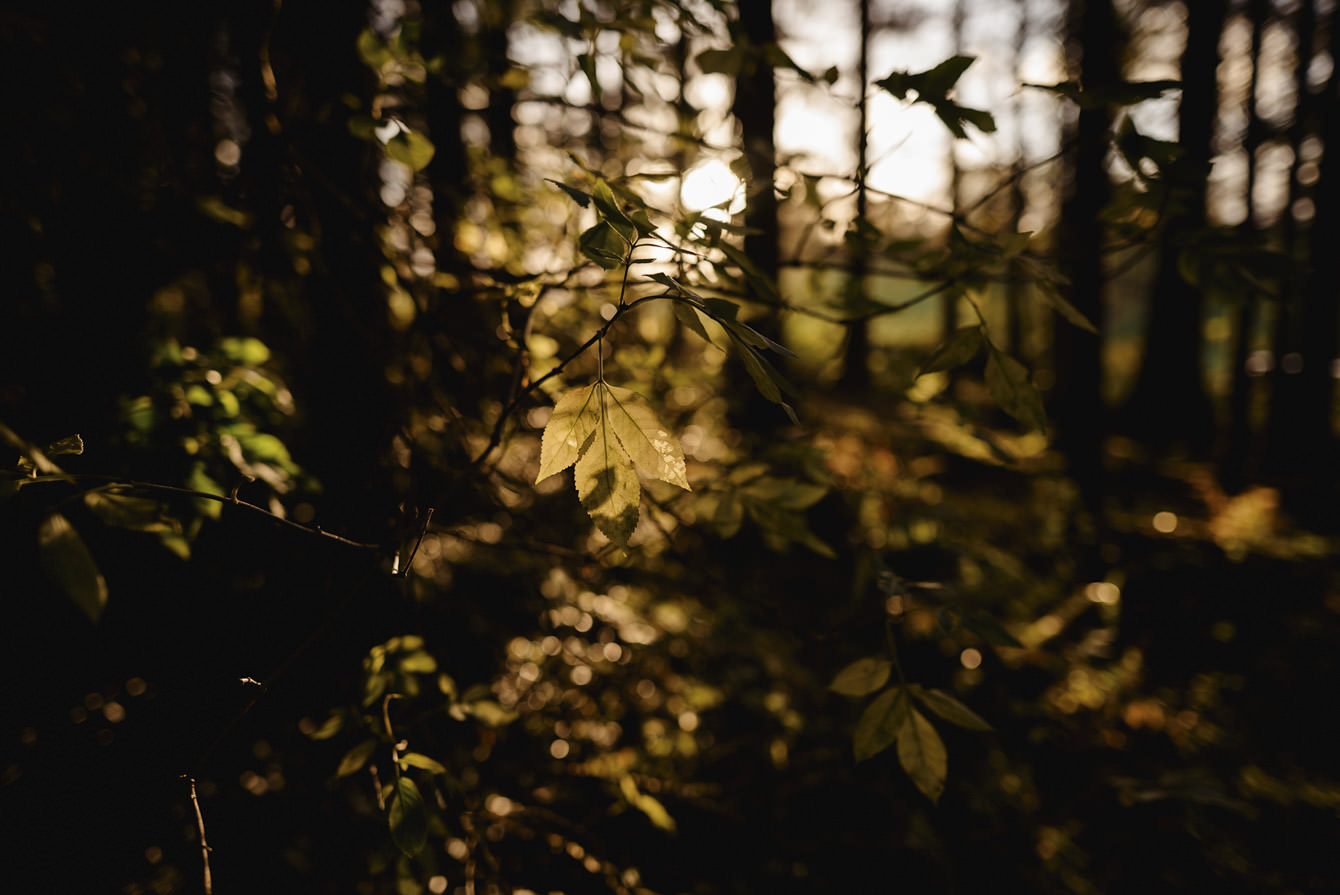 sunset engagement session044