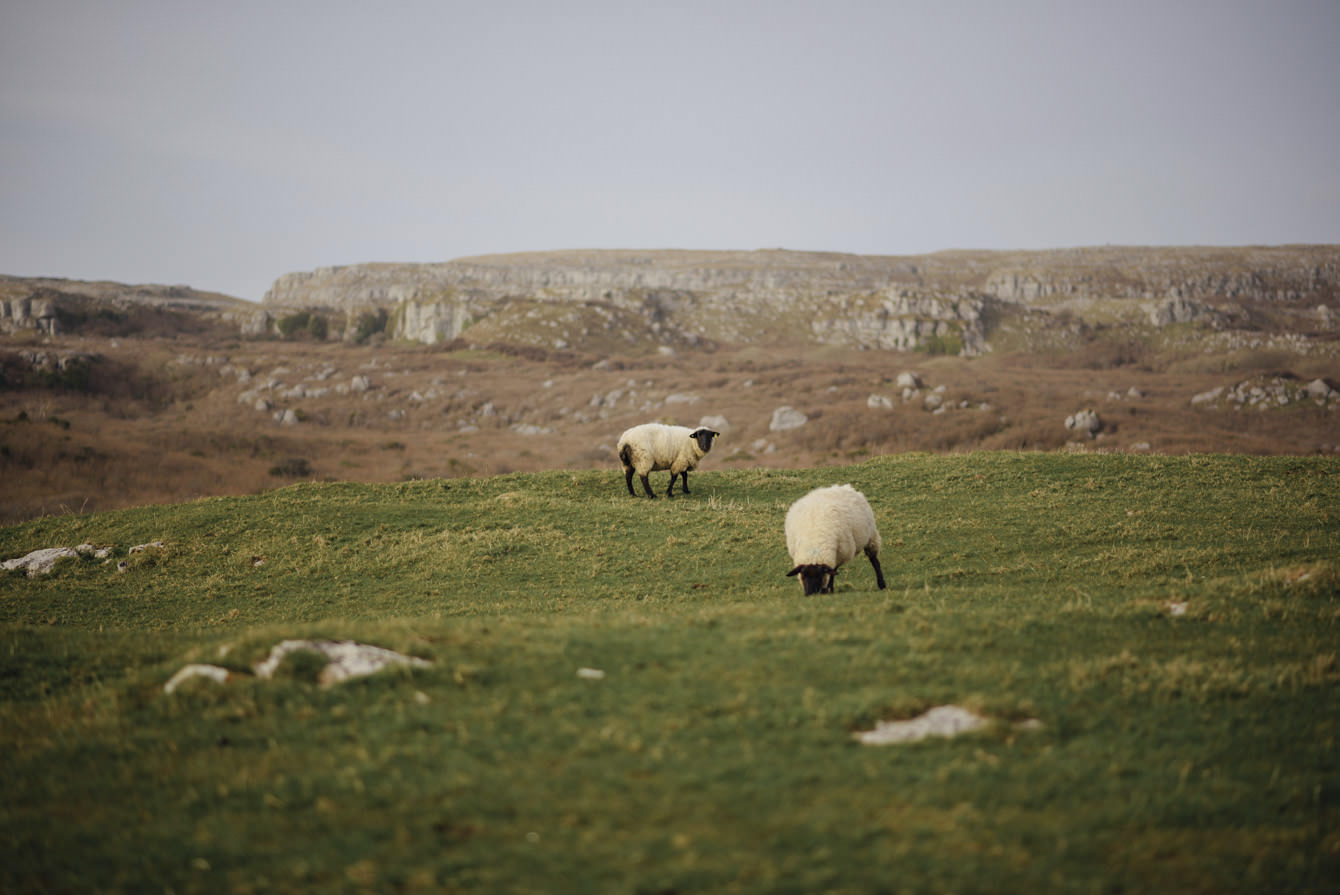 Elopement Ireland71