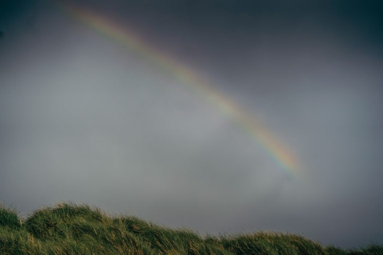 Beach Surprise proposal 035